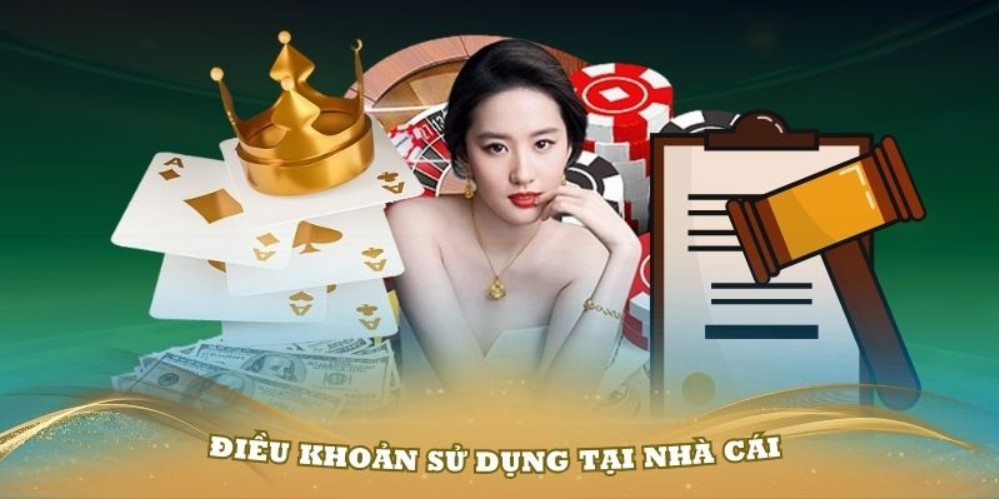 Người dùng có trách nhiệm theo dõi và cập nhật điều khoản mới tại trang này điều khoản sử dụng